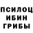 Псилоцибиновые грибы Cubensis aleksandr kashinsckiy