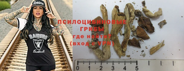 мет Алексин